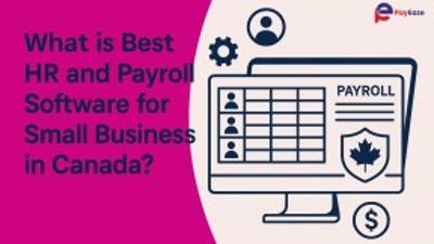 Top HR and Payroll Software for Small Businesses in Canada